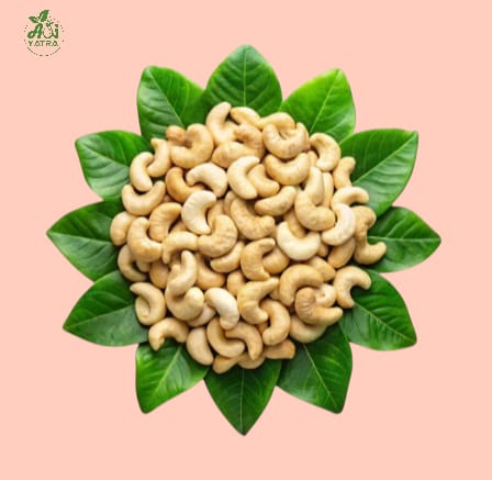 Raw Cashew Nut 500g